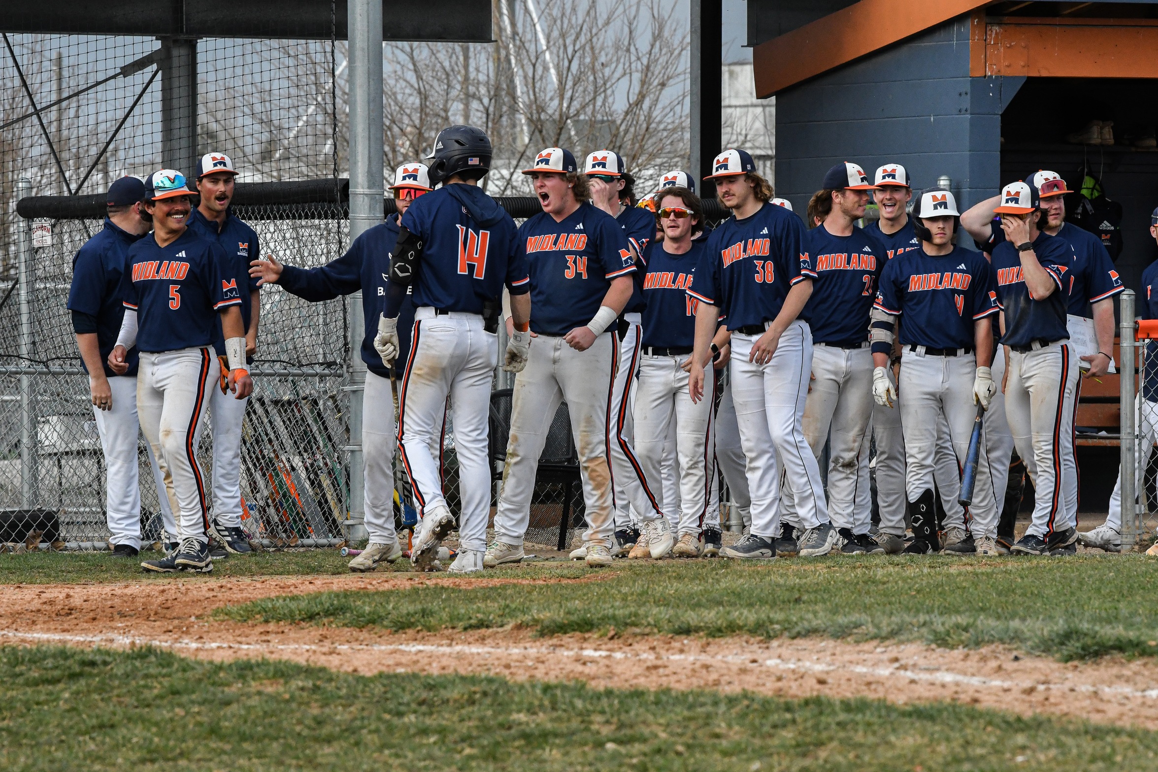 2023-24 Baseball